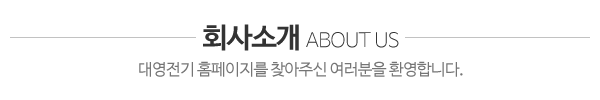 대영전기㈜_회사소개_제목